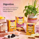 Yogi Tea Sweet Strawberry Digestive Support - 16 Tea Bags Per Pack (4 Pack) - Organic Turmeric Tea Bags - Digestive Support Tea - Includes Turmeric Root, Black Pepper, Strawberry, Mango & More