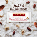 Larabar Cocoa Coconut Chew, Gluten Free Vegan Fruit & Nut Bars, 16 Ct