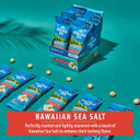 Macadamia Nuts, Hawaiian Sea Salt Flavor, Snack Mac Mini Pouches, Single Serve 1 Oz Bags (Pack Of 12)