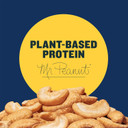 Planters Salted Cashew Halves & Pieces, Party Snacks, Plant-Based Protein, Quick Snack For Adults, After School Snack, Roasted Cashews, Flavored With Sea Salt, Bulk Nuts, Kosher, 26Oz Canister