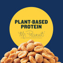 Planters Sweet And Spicy Dry Roasted Peanuts, 16 Oz. (6-Pack)