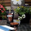 Squirrel Brand Salted Caramel Pecans. 3.5 Oz Resealable Bag, Gluten Free, Vegetarian