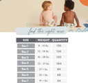 The Honest Company Clean Conscious Diapers | Plant-Based, Sustainable | Pandas + Barnyard Babies | Super Club Box, Size 2 (12-18 Lbs), 124 Count