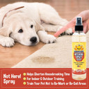 Bodhi Dog Not Here Spray 8Oz + Bitter 2 In 1 No Chew 4Oz Bundle