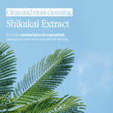 Bouquet Garni Shampoo White Musk - Long Lasting Fragrance Dry Hair Moisturizing Shampoo - Scalp Moisturizer And Cleansing With Natural Surfactant - Nutritious Amino, Protein, Natural Oil - 16.9 Fl. Oz