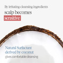 Bouquet Garni Shampoo White Musk - Long Lasting Fragrance Dry Hair Moisturizing Shampoo - Scalp Moisturizer And Cleansing With Natural Surfactant - Nutritious Amino, Protein, Natural Oil - 16.9 Fl. Oz