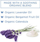 Bundle Of Hyland'S Baby Organic Calming Balm + Organic Daytime/Nighttime Oral Soothing Gel Combo Pack
