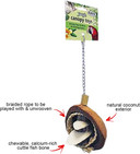 Coco Cuttle - Interactive Natural Calcium Supplement Chew Toy - Sugar Gliders, Chinchillas, Squirrels, Prairie Dogs, Degus, Opossums, Parrots, Birds, Rats, Rabbits, Hamsters, Guinea Pigs