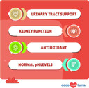 Cranberry + Turmeric For Dogs Bundle - Urinary Tract & Anti Inflammatory Support - Ut Support, Joint Support, Antioxidant Combo