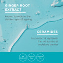 Curel Japan Anti-Wrinkle Hydrating Serum, Lightweight Serum, Fragrance Free & Colorant Free, Sensitive Skin Serum, 1.3 Oz