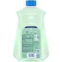 Dial Antibacterial Foaming Hand Soap Refill, Fresh Pear, 52 Fl Oz