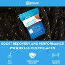 Equip Foods Collagen Powder Chocolate & Prime Protein Powder Vanilla