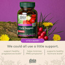 Gaia Herbs Cycle Support - Supports Hormone Balance & Pms Relief - Herbal Supplement With Vitex Berry & Schisandra - Free From Gluten, Dairy & Soy - 60 Vegan Capsules (30 Servings)