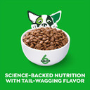 Greenies Smart Essentials Small Breed Adult High Protein Dry Dog Food Real Chicken & Rice Recipe, 5.5 Lb. Bag