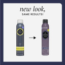 Hask Charcoal Clarifying Dry Shampoo For All Hair Types, Aluminum Free, No Sulfates, Parabens, Phthalates, Gluten Or Artificial Colors - 4.3Oz