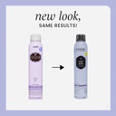 Hask Chia Seed Volumizing Dry Shampoo Kits For All Hair Types, Aluminum Free, No Sulfates, Parabens, Phthalates, Gluten Or Artificial Colors (6.5Oz-Qty2)