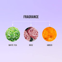 Hask Chia Seed Volumizing Dry Shampoo Kits For All Hair Types, Aluminum Free, No Sulfates, Parabens, Phthalates, Gluten Or Artificial Colors 4.3Oz