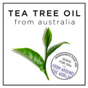 Hask Tea Tree Back To School Pack: Tea Tree Oil & Rosemary Shampoo And Conditioners And A 2-Pack Of 5-In-1 Leave In Conditioner Sprays