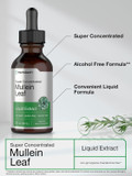 Horbã£Â¤Ach Mullein Leaf Tincture Drops | 2 Fl Oz | Alcohol Free Liquid Extract | Vegetarian, Non-Gmo & Gluten Free Herbal Supplement