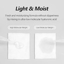Isntree Ultra-Low Molecular Hyaluronic Acid Toner 300Ml, 10.14 Fl Oz + Hyaluronic Acid Aqua Gel Cream 100Ml, 3.38 Fl Oz