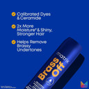 Matrix Brass Off Blue Shampoo And Pigmented Conditioner Set | Removes Brassy Orange Undertones | Toning Conditioner For Lightened Brunettes | For Color Treated Hair | Premium Salon Conditioner | Vegan Matrix Brass Off Blue Shampoo And Pigmented Conditioner Set | Removes Brassy Orange Undertones | Toning Conditioner For Lightened Brunettes | For Color Treated Hair | Premium Salon Conditioner | Vegan