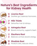 Milk Thistle For Dogs - Liver Support For Dogs - Milk Thistle For Cats - Milk Thistle Liquid - Dog Liver Supplement - Hepato Support For Dogs - Lower Liver Enzymes Naturally