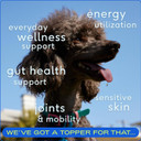 Native Pet Pack Leaders Bundle - Daily Dog Multivitamin (7 Oz.) & Omega Oil For Dogs (8 Oz.)