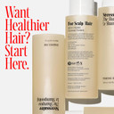 Nã£Â©Cessaire The Hair Duo. 2 X Full-Size. The Shampoo + The Conditioner. Hyaluronic Acid + Vitamin B Complex. Fragrance-Free. Approved By The National Eczema Association