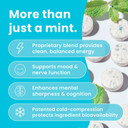 Neurogum Energy Caffeine & Melatonin 5Mg Mints (144 Pieces) - Sugar Free With L-Theanine + Natural Caffeine + Vitamin B12 & B6 - Fast Dissolve Sugar Free Mints With Chamomile & Lemon Balm