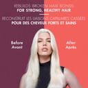 Nexxus Bond Repair Shampoo, Conditioner & Intense Rebond Treatment Bundle Amino Bond 3 Pack For All Types Of Damaged Hair, With Keratin Protein And Amino Acids