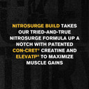 Nitrosurge Build Pre Workout With Creatine For Muscle Building (30 Servings, Arctic White) & Creatine Monohydrate Powder For Muscle Growth, Increased Strength, & Recovery (30 Servings, Unflavored)) Nitrosurge Build Pre Workout With Creatine For Muscle Building (30 Servings, Arctic White) & Creatine Monohydrate Powder For Muscle Growth, Increased Strength, & Recovery (30 Servings, Unflavored))