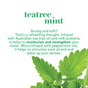 Ogx Holiday 2019 Limited Edition Tea Tree Mint Conditioner, 13 Fl Oz