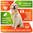 Omega 3 + Allergy Relief Dogs Bundle - Allergy & Itch Relief Skin&Coat Supplement + Itchy Skin Treatment - Omega 3 & Pumpkin - Hot Spots Treatment + Itching & Licking Treats - 600 Chews - Made In Usa