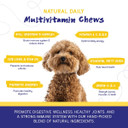 Pupgrade 2-Pack Daily Multivitamin & Joint Support Supplement For Dogs - All-In-One Formula For Digestive, Immune System, Joint Relief, Skin & Coat Health - Made In Usa - 90 Chews Total