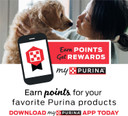 Purina Pro Plan Veterinary Diets Nf Kidney Function Early Care Feline Formula Adult Dry Cat Food - 3.15 Lb. Bag