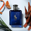 Ralph Lauren Fragrances Polo Blue - Parfum - Men'S Cologne - Refillable Cologne Set - With Citrus, Oak, And Vetiver - Intense Fragrance - 2.5 Fl Oz Bottle & 5.1 Fl Oz Refill