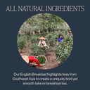 Rishi Tea Turmeric Ginger, English Breakfast & Jasmine Green Tea Bundle - Organic Sachet Tea Bags, Caffeinated & Caffeine Free Herbal Teas - 15 Count (Pack Of 3)