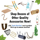 Sandy Branch (Straight) - Durable Nail Trimming Perch Stand Cage Accessory - Sugar Gliders, Squirrels, Degus, Marmosets, Monkeys, Parrots, Birds, Rats & Other Small Pets