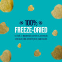 Stewart Raw Naturals Freeze Dried Dog Food, Chicken & Vegetables Recipe, 32 Ounce Bag, Complete And Balanced Nutrition