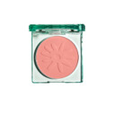 The Face Shop Fruta Veil Glow Blush | Lively Complexion,Natural Look | Adheres Skin Evenly Without Fallouts | Pink Garden,4.2G,K-Beauty