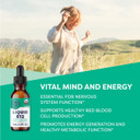 Vimergy Usda Organic B12 - Travel Size - 30 Servings  Alcohol Free B-12 Liquid Vitamin - Supports Brain Energy, Nervous System, Cognition, Memory - No Gluten, Non-Gmo, Vegan & Paleo (30 Ml)