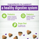 Wellness Barkin' Bacon Flavored Soft Chew Skin & Coat Supplements For Dogs, 45 Count