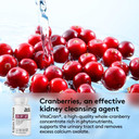 Youth & Tonic Candease Matrix Pills & Kidney Cleanse Bundle 2 Pack | Supports Body Cleansing And Maintains Urinary Tract & Bladder Health