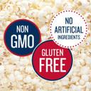 Skinnypop Sea Salt & Pepper Popcorn, Gluten Free, Non-Gmo, Healthy Popcorn Snacks, Skinny Pop, 4.4Oz Grocery Size Bags (12 Count)