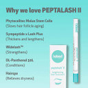Indeed Laboratories Peptalash Ii - Lengthening Lash Treatment, Strengthens And Nourish Lashes And Brows, Using Peptides, And Panthenol 0.02 Us Fl.Oz. / 0.6 Ml
