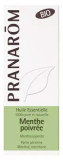 Pranarã´M Organic Essential Oil Peppermint (Mentha X Piperita) 10 Ml