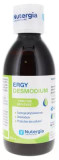 Nutergia Ergydesmodium 250Ml