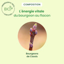 HerbalGem Blackcurrant Spray Organic 15ml