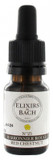Elixirs & Co Elixirs De Bach Nâ°25 Red Chestnut 10Ml