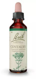 Fleurs De Bach Original Centaury 20Ml
